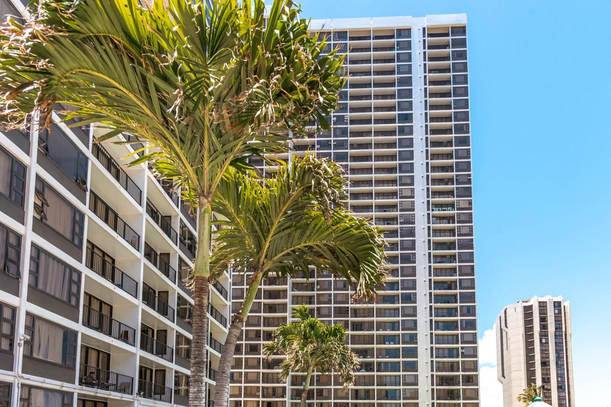 Cozy Waikiki Getaway, Stroll To Beach With Free Parking Χονολουλού Εξωτερικό φωτογραφία